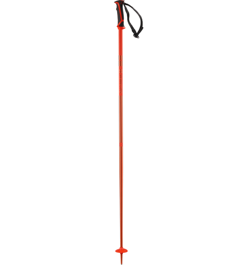 Salomon Arctic Ski Poles