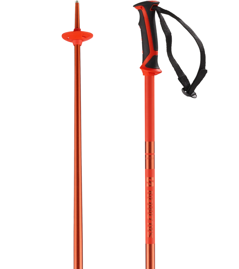 Salomon Arctic Ski Poles